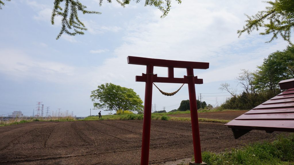 道行くハイカーを見守って