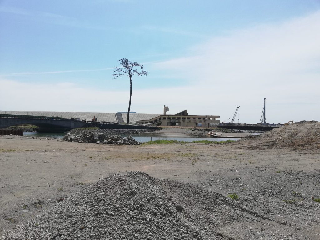 The last Pinetree