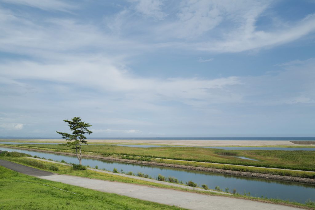 貞山堀へ
