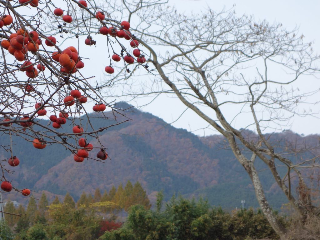 鹿狼山秋景色