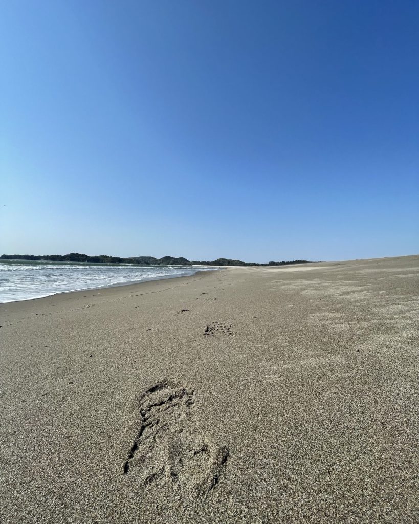 朝日を浴びて