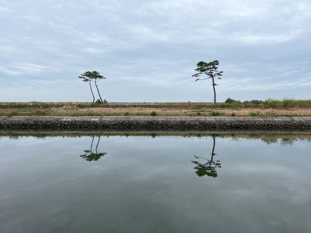 井土浦