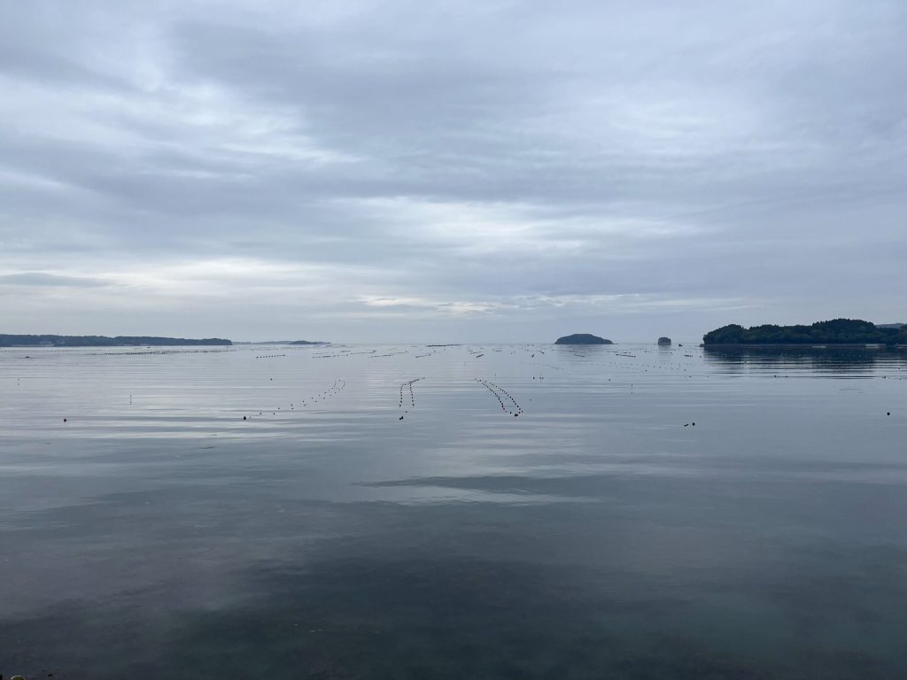 志津川湾