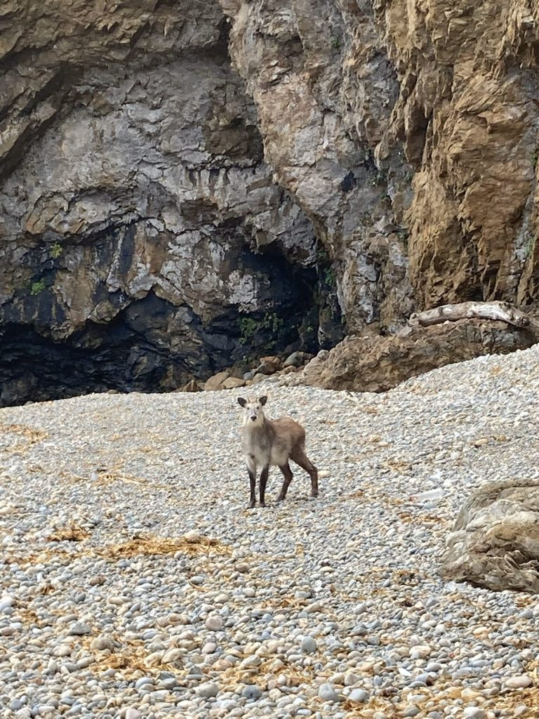 矢越岬付近
