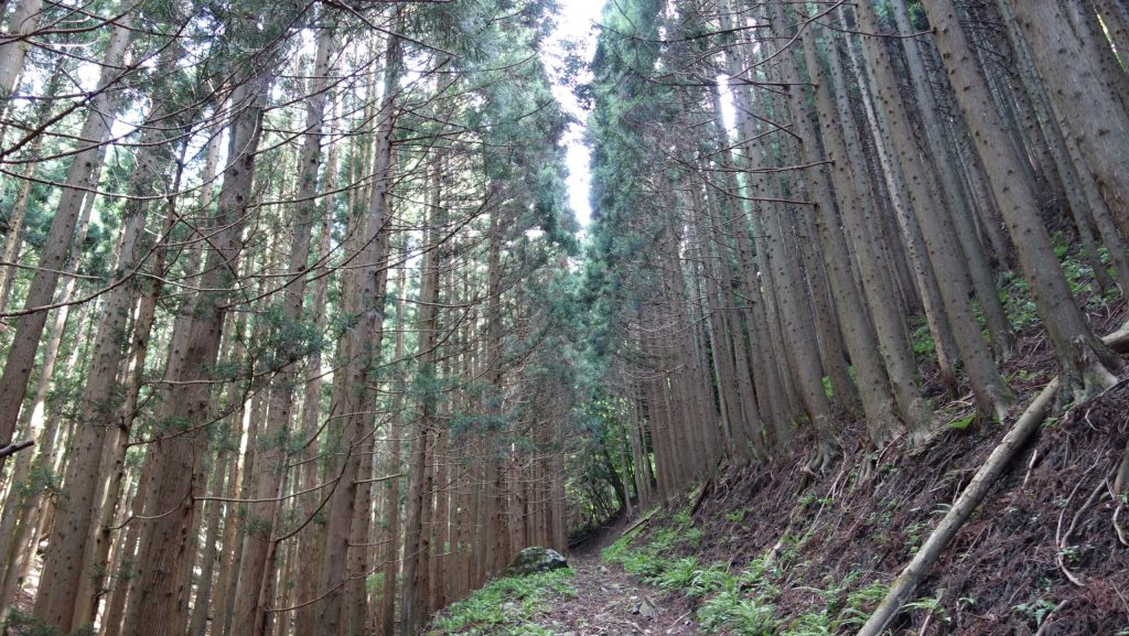 石塚峠