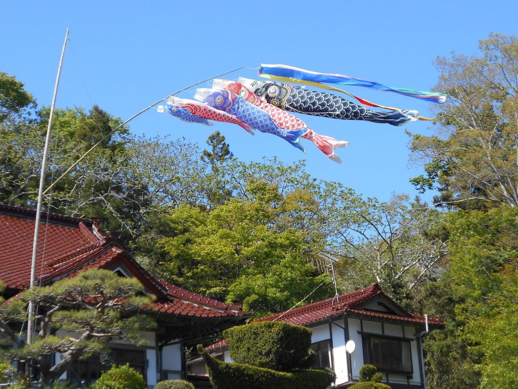 大船渡の鯉のぼり