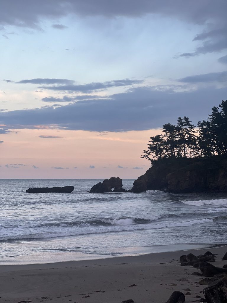 海