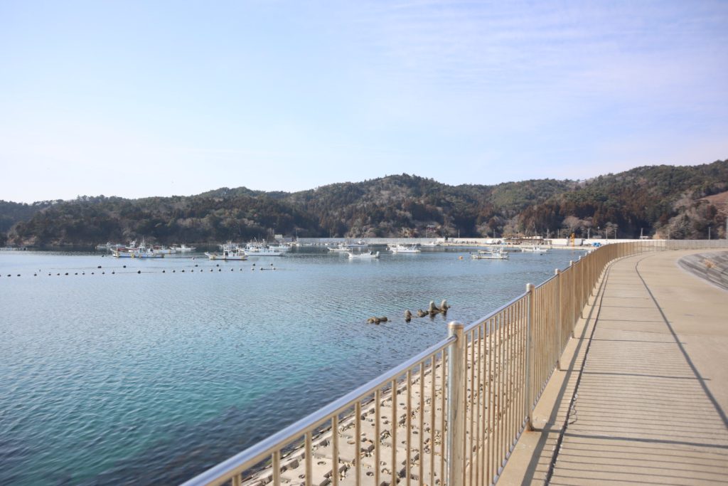 堤防の上