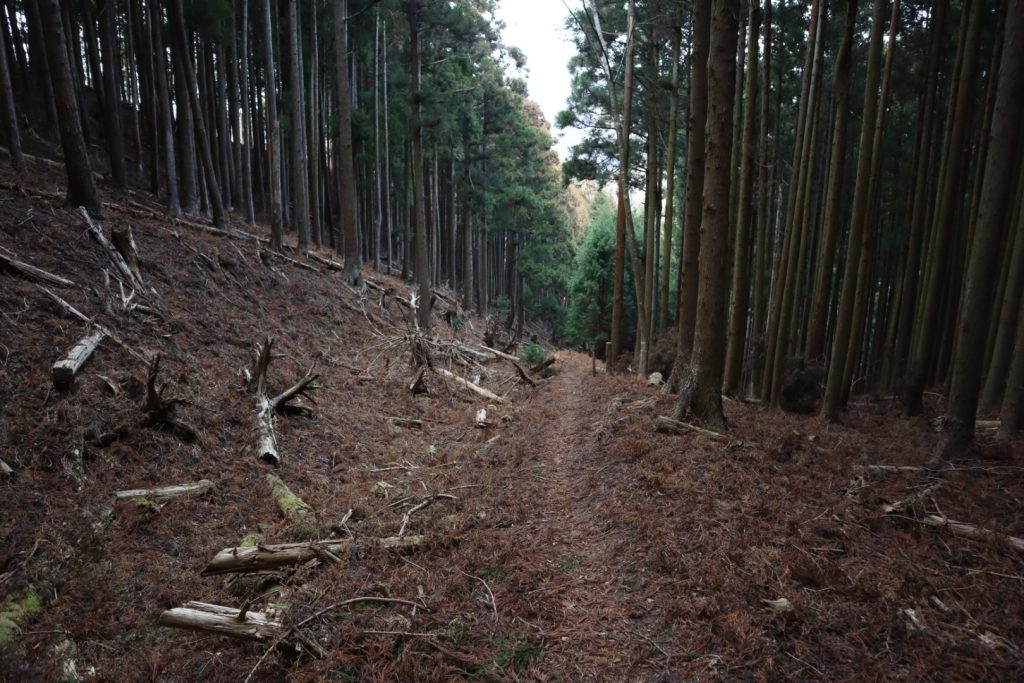 峠越え