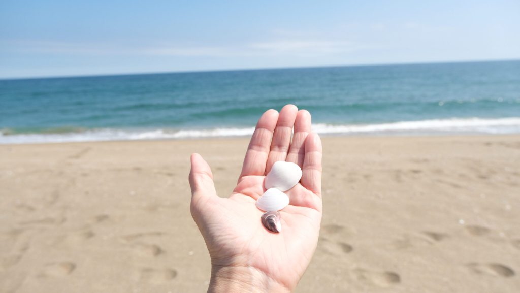 海からの贈り物
