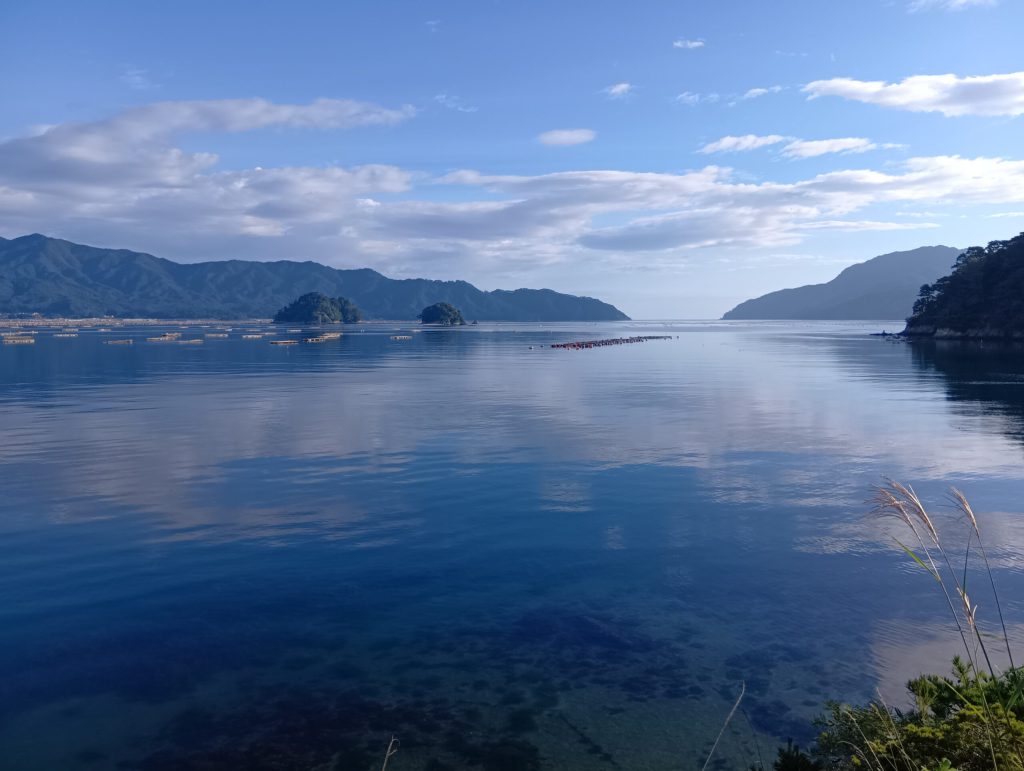 穏やかな海