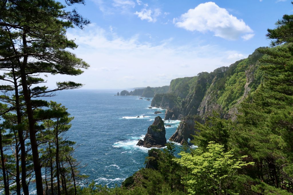 新緑の北山崎