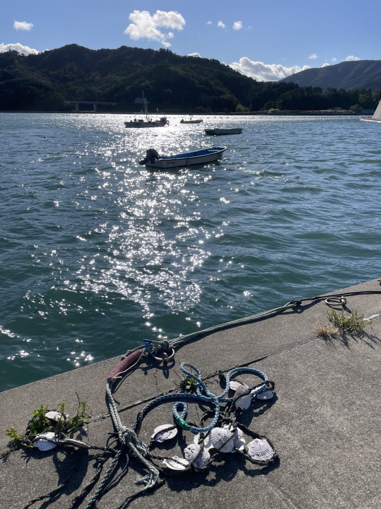 雄勝の港