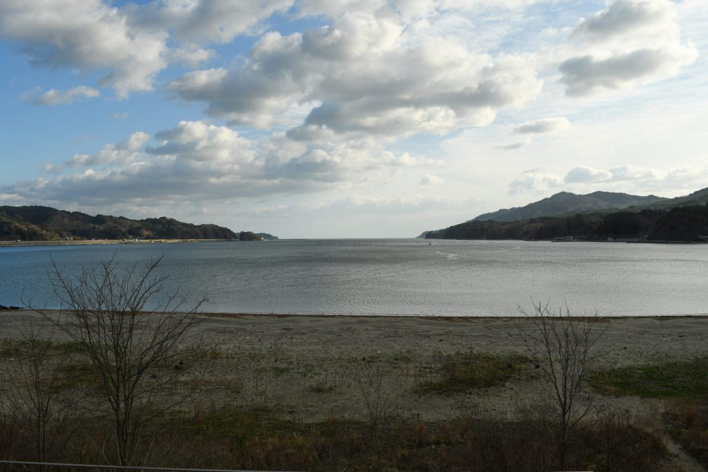 Morning at the Cove
