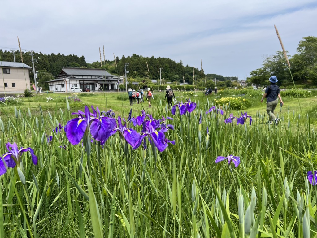 第七回「みちのく潮風トレイル おおむね数珠つなぎハイキング」多賀城市、塩竈市セクション