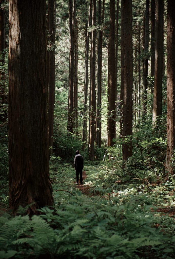 Walking Through a Deep Forest