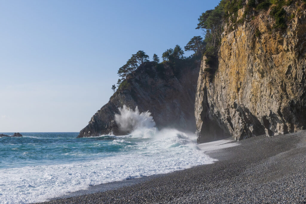 My Favorite Coast