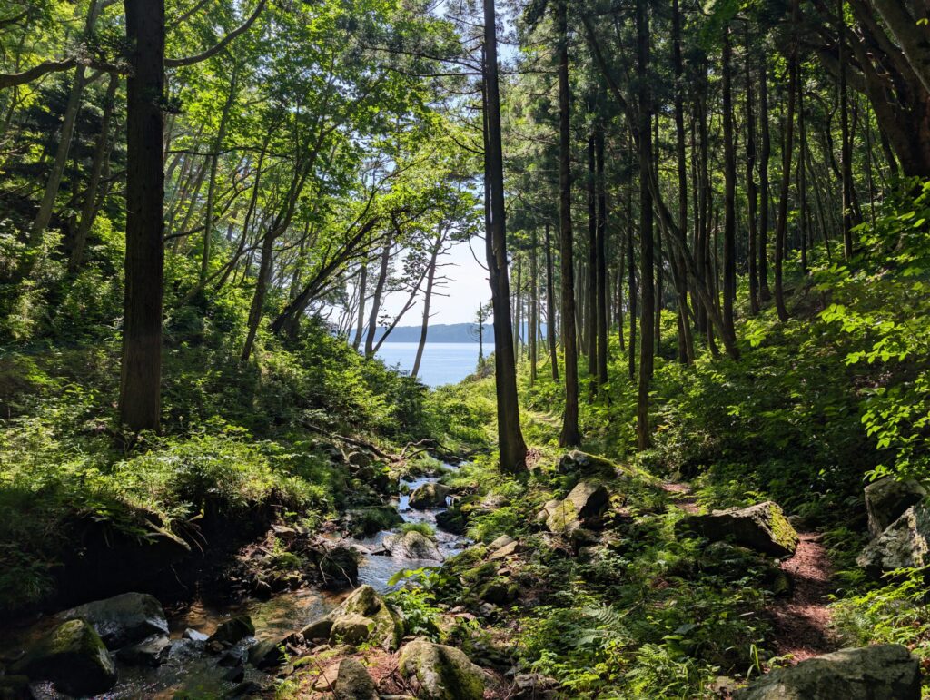 海へ続くみち。
